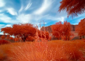 يقدّم معرض "أرضُنا" نحو 80 عملًا فنيًا بارزًا لفنانين من أنحاء العالم (استكشف العلا)