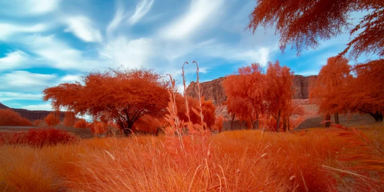 يقدّم معرض "أرضُنا" نحو 80 عملًا فنيًا بارزًا لفنانين من أنحاء العالم (استكشف العلا)