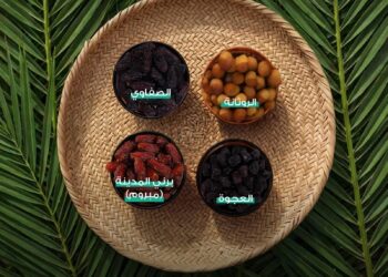 تمور المدينة تتألق بتنوعها على موائد رمضان