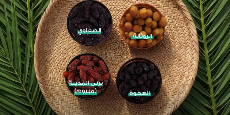 تمور المدينة تتألق بتنوعها على موائد رمضان