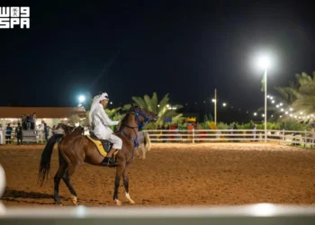 إسطبلات الجوف.. وجهات تستحضر أصالة الفروسية وتجارب الضيافة الريفية