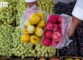 الطائف.. سياحة الفاكهة وجمال المكان