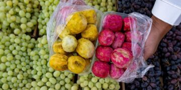 الطائف.. سياحة الفاكهة وجمال المكان
