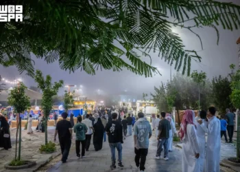 ليال صيفية تنعش الحركة السياحية والاقتصادية في الباحة